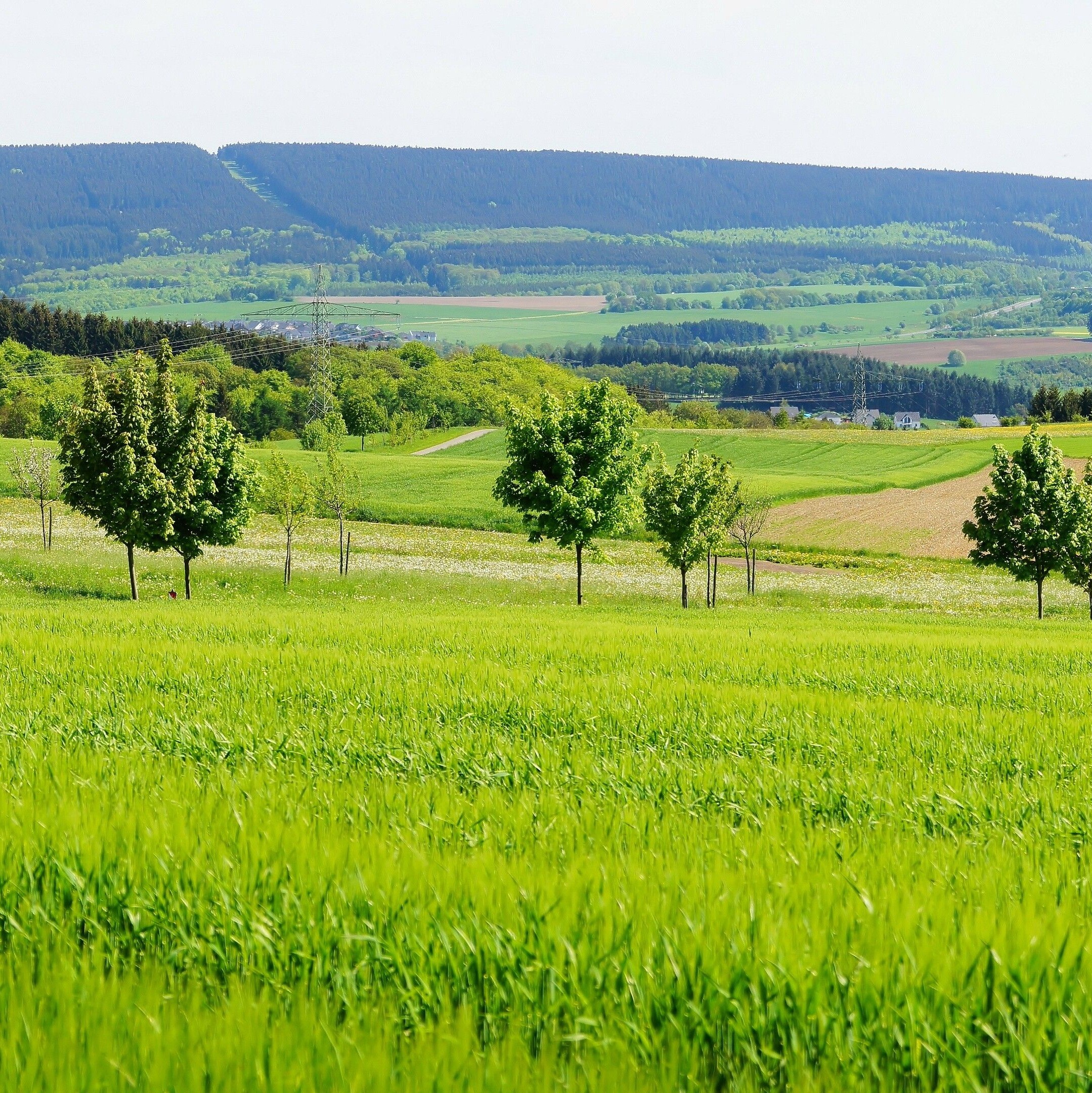 Landschaft im Hunsrück Nähe Morbach