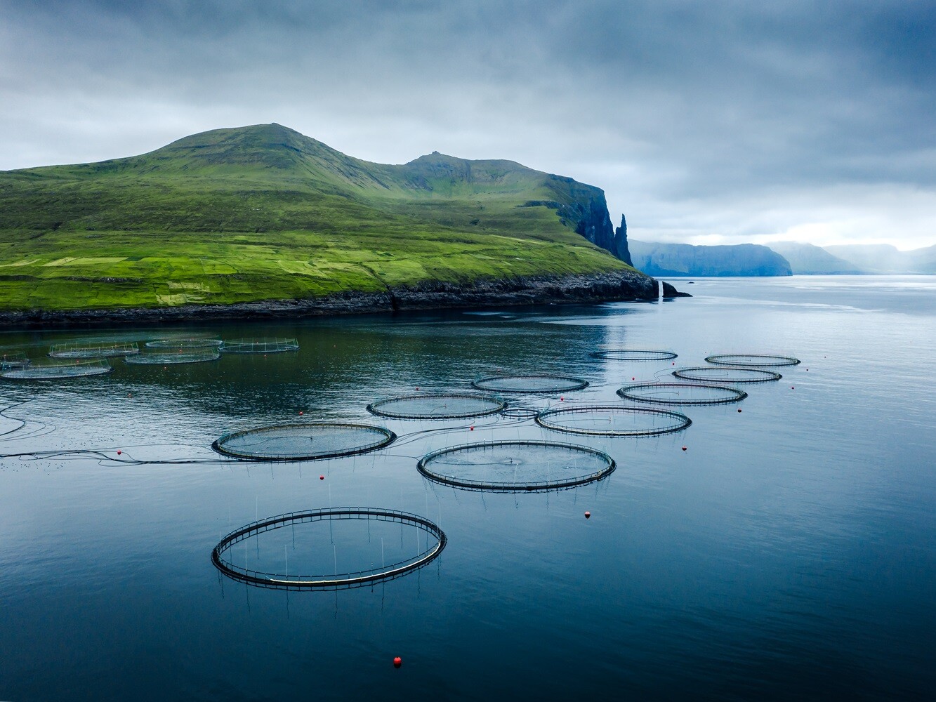Runde Netze im Wasser vor einem grünen Hügel im Hintergrund.
