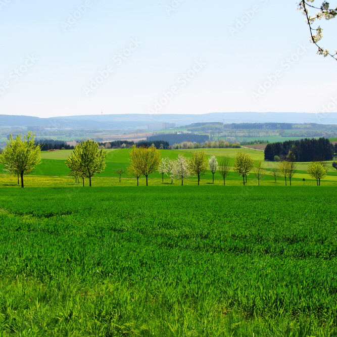 Landschaft im Hunsrück Landschaftsbild_Hunsrück